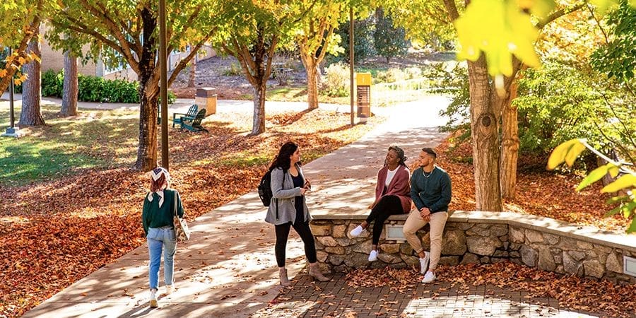 University students chatting on campus, surrounded by trees in autumn hues
