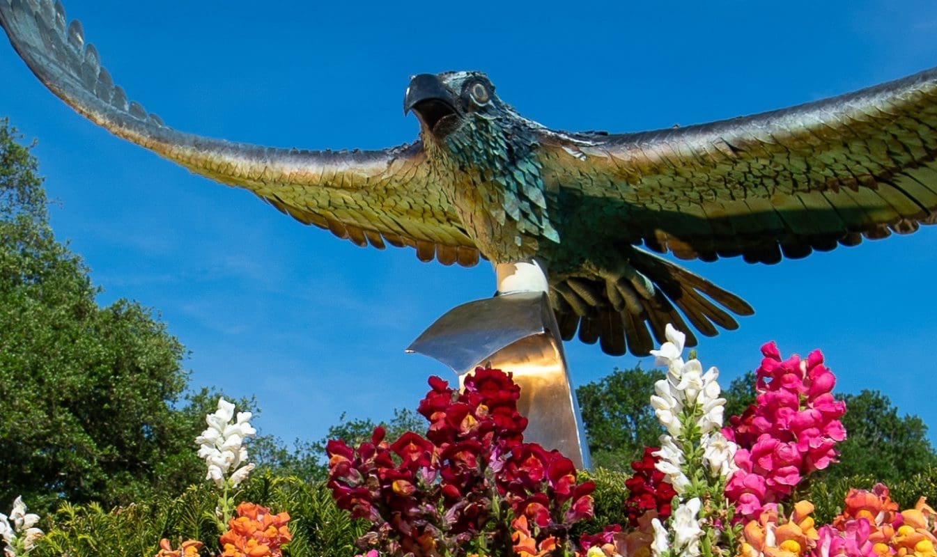 UNCW campus seahawk statue