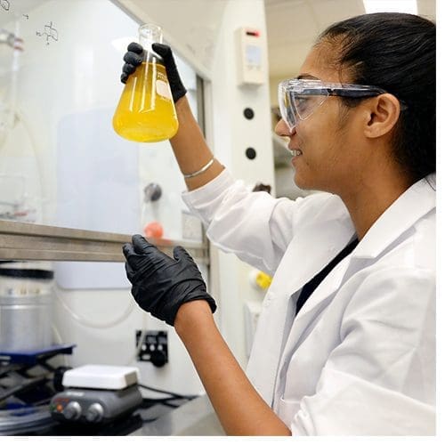Graduate student Manwika Charaschanya works in the Center for Integrative Chemical Biology and Drug Discovery in Marsico Hall at the University of North Carolina at Chapel Hill.