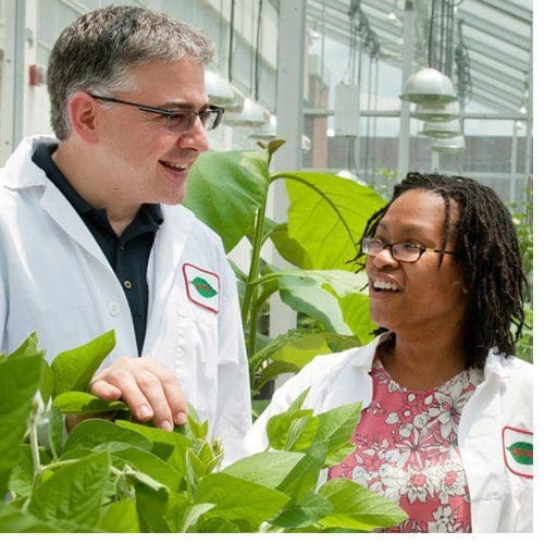 Agriculture built North Carolina. The Plant Sciences Initiative will keep it growing.