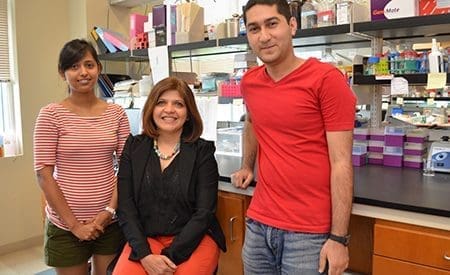 Dr. Pinku Mukherjee with post doctoral students in the lab at UNC Charlotte.