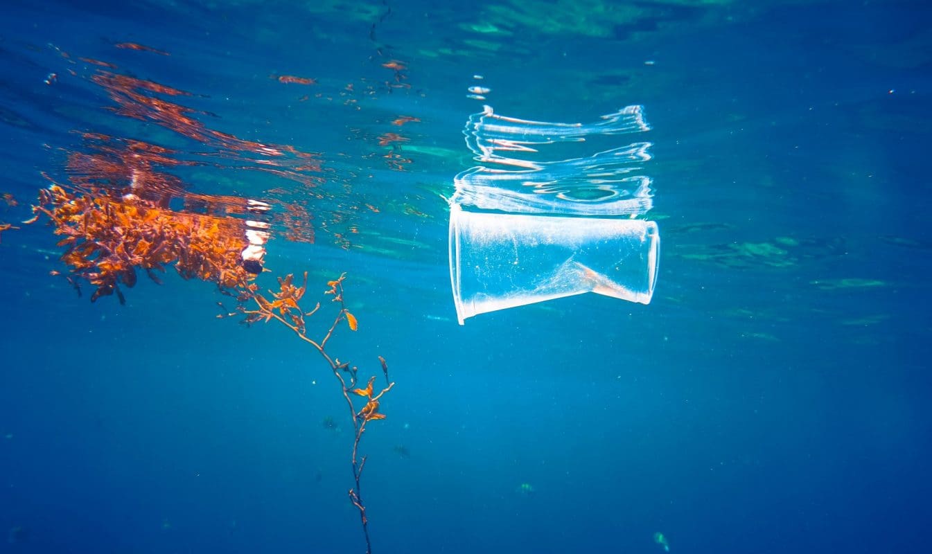 Plastic floating in the ocean