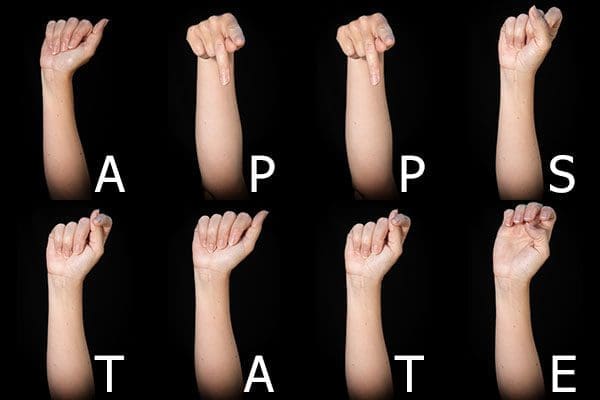 App State in American Sign Language